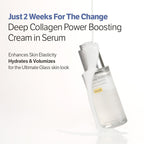 Deep-Collagen Anti-Wrinkle Cream